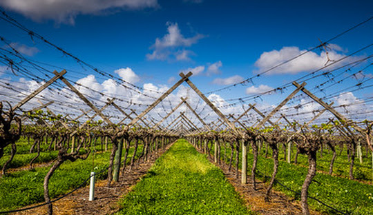 Perth’s European Exploration and the Swan River Colony: A Complex Historical Legacy